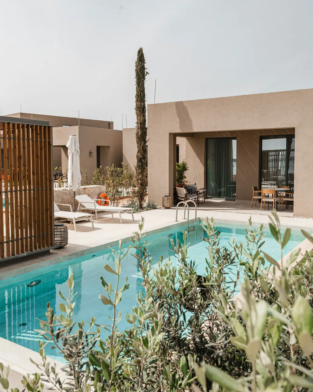 A sand-coloured villa with a turquoise pool, framed by olive branches and a single cypress
